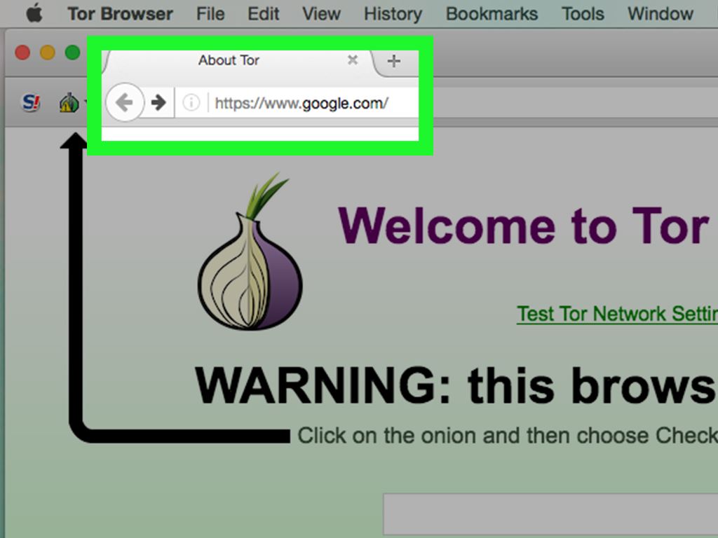 How to protect your privacy online with Tor Browser